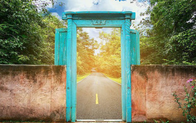 “I Would’ve Diagnosed Your Tumor, But You Never Asked”: The Journey Begins…